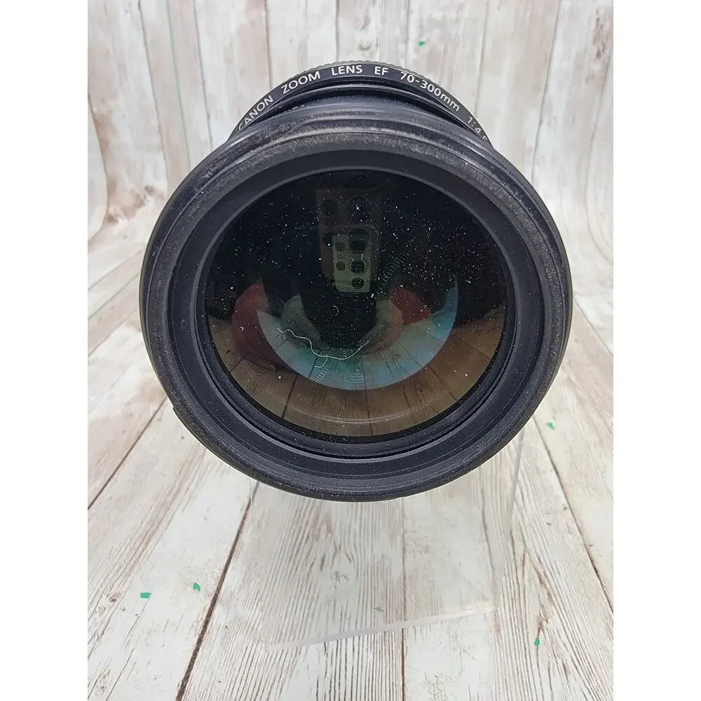 Canon EOS EF 70-300mm f4.5-5.6 DO IS USM Telephoto Zoom Lens